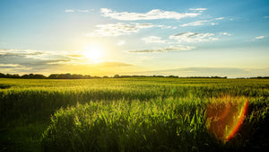 Best Places for Camping in Iowa