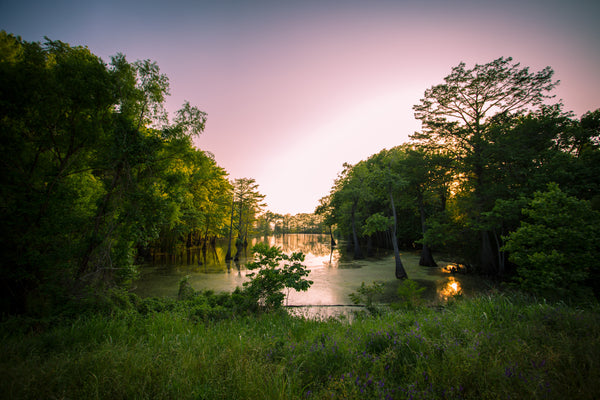 Best Outdoor Summer Activities In Mississippi