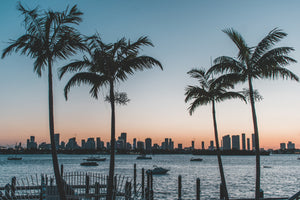 Best Outdoor Fall Activities In Florida
