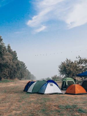 Best Places for Camping in North Carolina