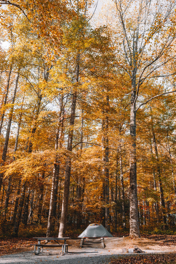 Best Outdoor Fall Activities In Montana