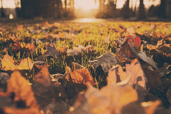 Best Outdoor Fall Activities In Michigan