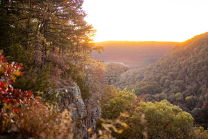Best Outdoor Fall Activities In Arkansas