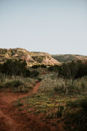 Best Outdoor Winter Activities In Texas