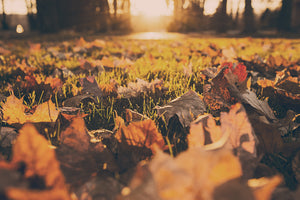 Best Outdoor Fall Activities In Rhode Island