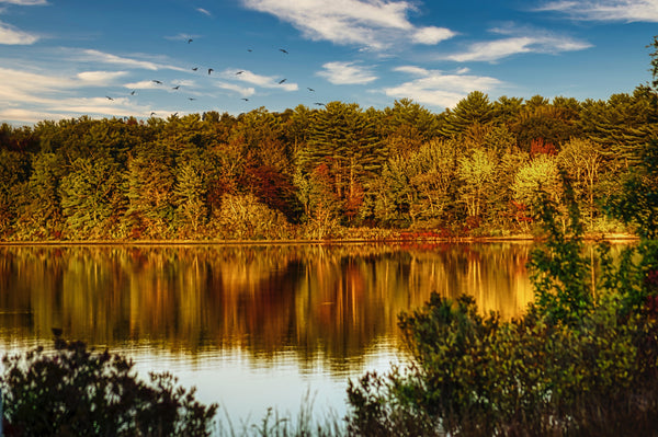 Best Outdoor Summer Activities In Massachusetts