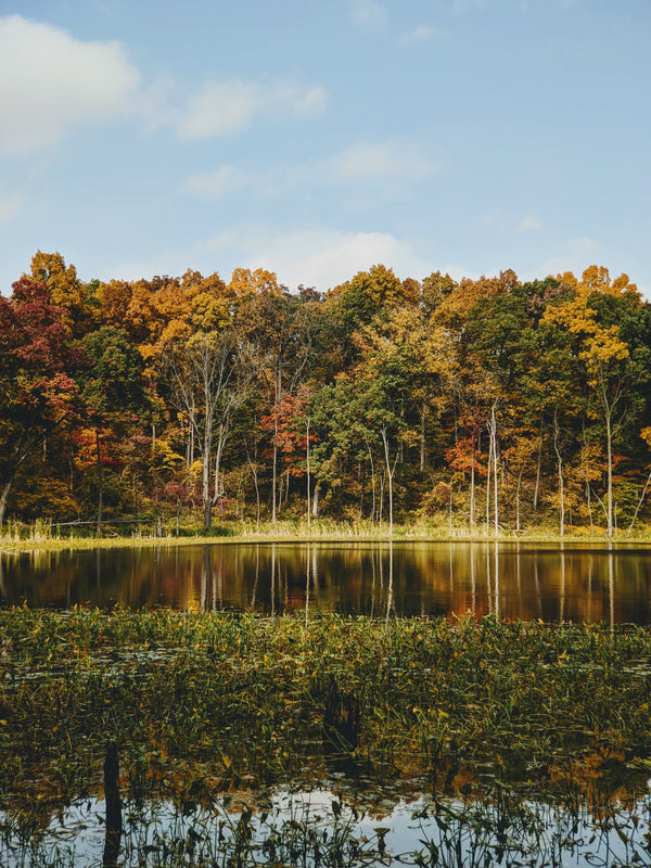 Best Places for Camping in Indiana