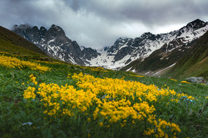 Best Places for Camping in Georgia