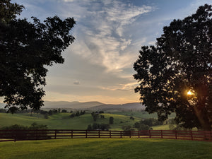 Best Outdoor Summer Activities In Virginia