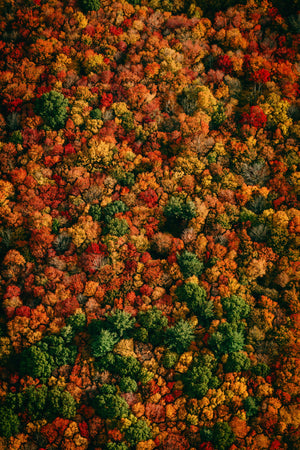 Best Outdoor Fall Activities In Connecticut