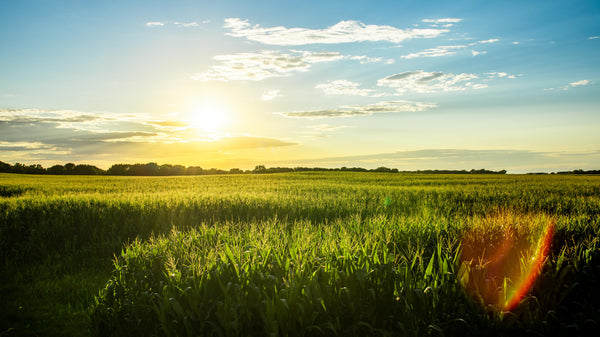 Best Outdoor Spring Activities In Iowa