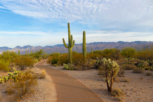 Best Outdoor Spring Activities In Arizona