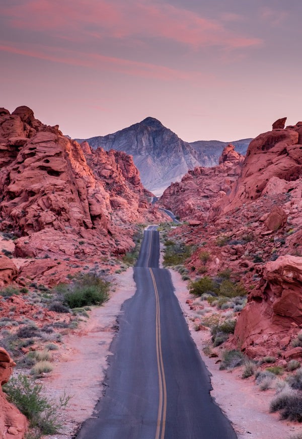 Best Outdoor Fall Activities In Nevada