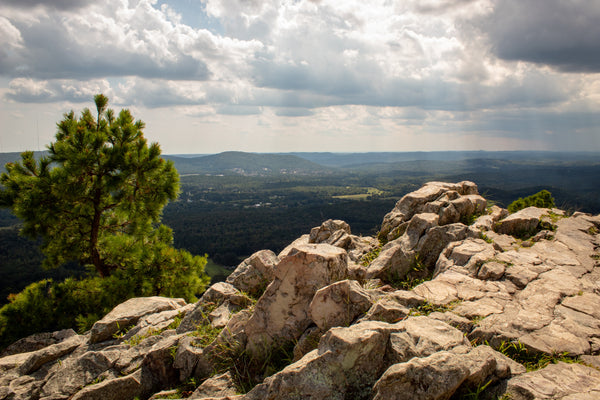 Best Outdoor Spring Activities In Arkansas