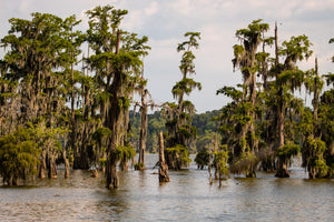 Best Outdoor Summer Activities In Louisiana