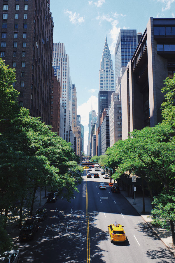 Best Outdoor Spring Activities In New York