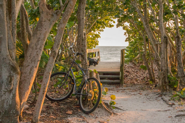 Best Places for Camping in Florida