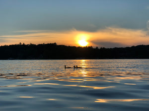 Best Outdoor Spring Activities In Minnesota