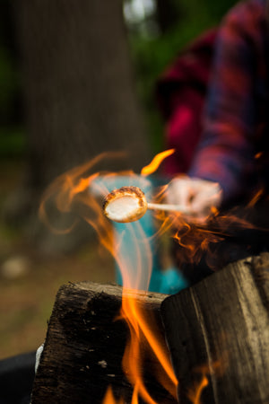 Best Places for Camping in New Jersey