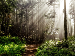 Best Outdoor Spring Activities In Oregon