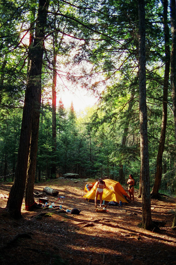 The 5 Best Hikes In Washington