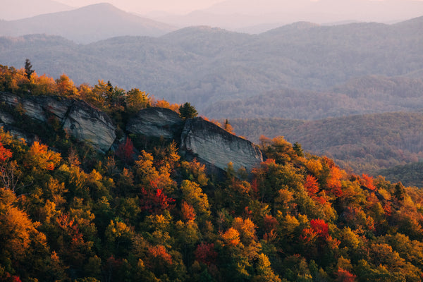 The 5 Best Hikes In North Carolina