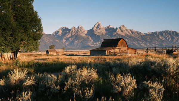 Best Outdoor Spring Activities In Wyoming