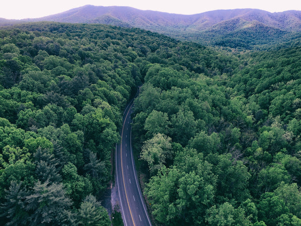 Best Outdoor Spring Activities In Virginia