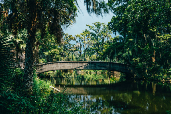 The 5 Best Hikes In Louisiana
