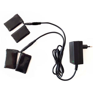 Thermrup battery charger with four black battery packs and power adapter