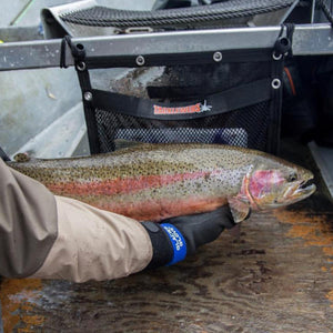 Person wearing a Glacier Glove holding a rainbow trout on a boat