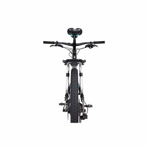 Rear view of a Thule bike rack mounted on a bicycle