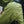 Water droplets on the shoulder of a green Black Diamond waterproof jacket