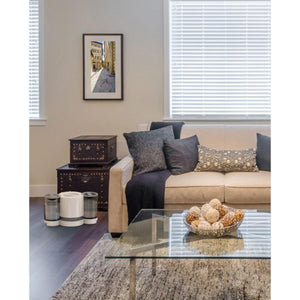 Vornado humidifier on floor next to sofa in living room