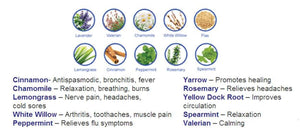 Heaven's Therapy chart showing various herbs and their associated health benefits