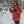 Person wearing orange jacket and sunglasses holding small food packets in a snowy forest