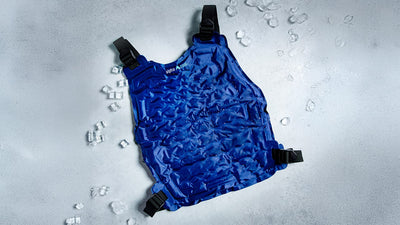 A blue AlphaCool cooling vest with black straps lies on a wet, light gray surface scattered with ice cubes and water droplets.