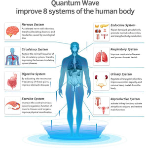 Diagram showing how quantum waves affect eight human body systems including nervous circulatory and digestive systems