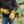 Person wearing ActionHeat tan suede heated gloves connecting a battery pack