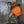 Heater Body Suit AP