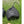 Snow Peak Giga Power Battery 15000 for Lantern