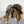 Person wearing a bucket hat using Nocs Provisions binoculars