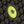 Close up of a black textured rubber surface with a central lime green circular component and metal pin