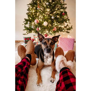 Person wearing Acorn tan slippers with faux fur lining sitting on a rug with a dog in front of a Christmas tree