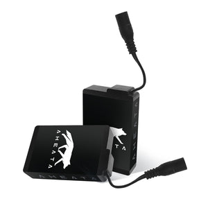 Two Aheata branded rectangular battery packs with attached power cables