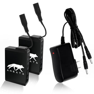 Two Aheata battery packs with cables and a wall charger
