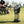 AlphaCool portable misting fan on grass with people in background