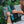 Person packing a BioLite camp stove into a teal and black storage bag on a folding table