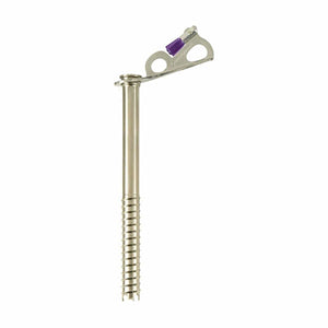 Black Diamond Express ice screw with purple hanger