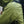 Water droplets on the shoulder of a green Black Diamond waterproof jacket